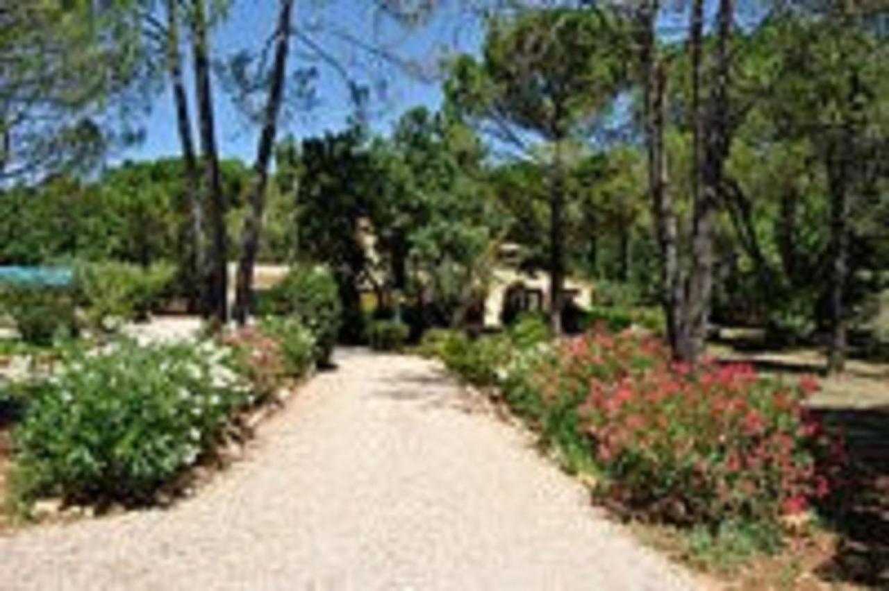 La Maison De La Cigale Forcalqueiret ภายนอก รูปภาพ