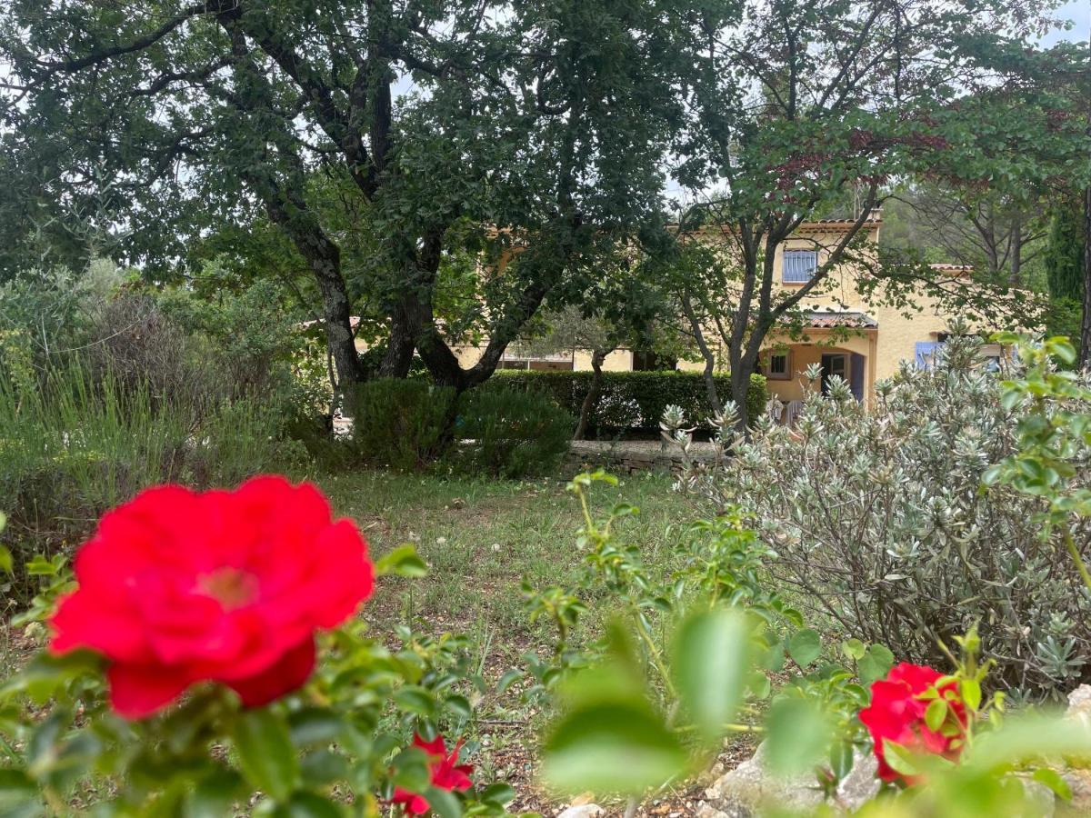 La Maison De La Cigale Forcalqueiret ภายนอก รูปภาพ